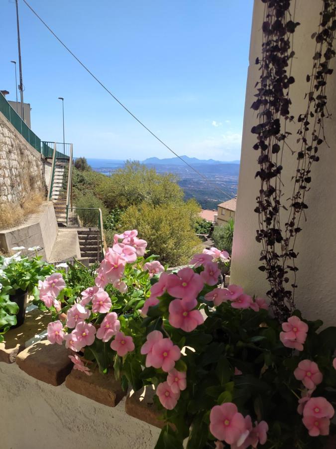 Bed and Breakfast Steddueoro à Baunei Extérieur photo